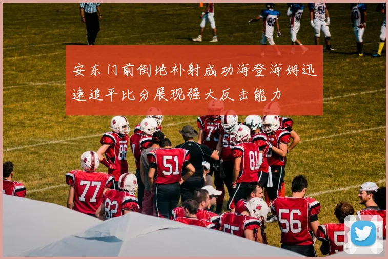 安东门前倒地补射成功海登海姆迅速追平比分展现强大反击能力